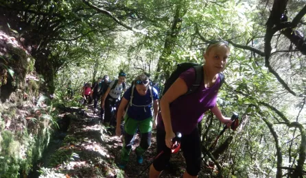 Trekking w Górach Madery - Zielony Raj 21-28.10.2018