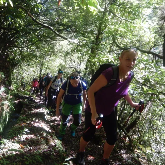 Trekking w Górach Madery - Zielony Raj 21-28.10.2018