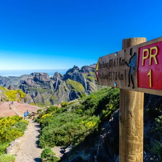 Trekking w Górach Madery & Porto Santo - Zielony Raj