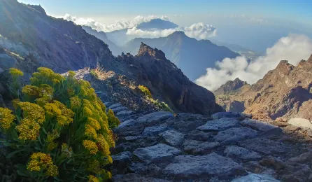 Trekking w Górach La Palmy - Klejnot w Koronie Atlantyku 13.10-20.10.2022